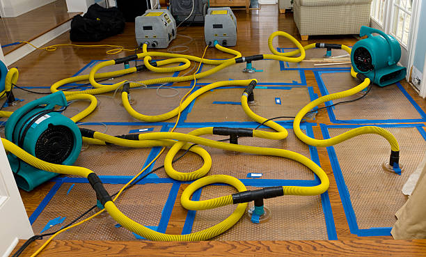 Professional Basement Flood Cleanup technician working in Hathorne, MA